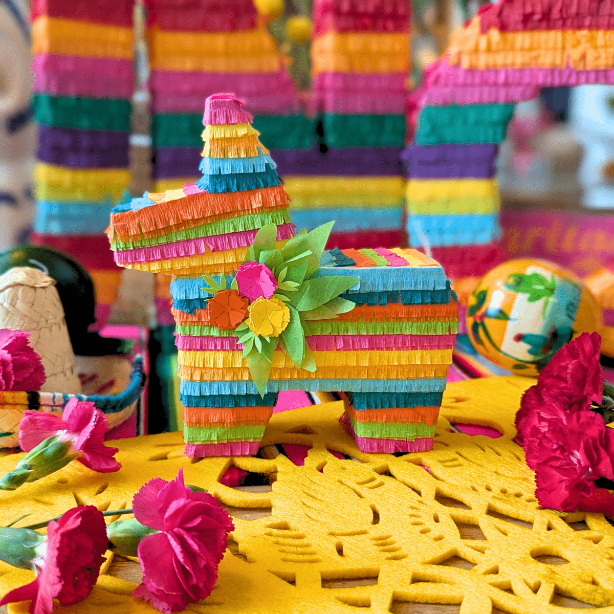 succulent pinata Donkey Piñata Gift Box – Lula Flora