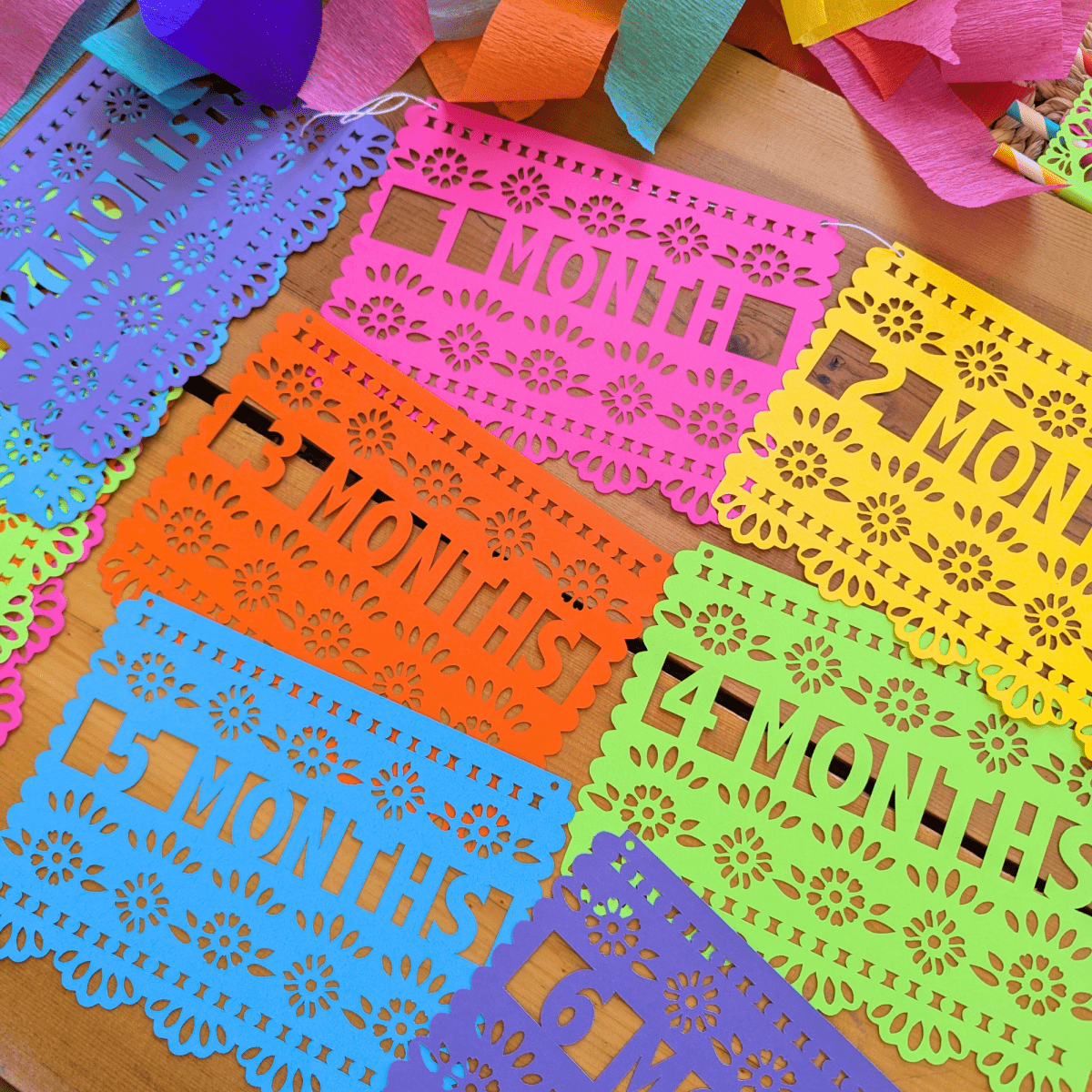 First Fiesta 12 Month Birthday Banner - Lula Flora