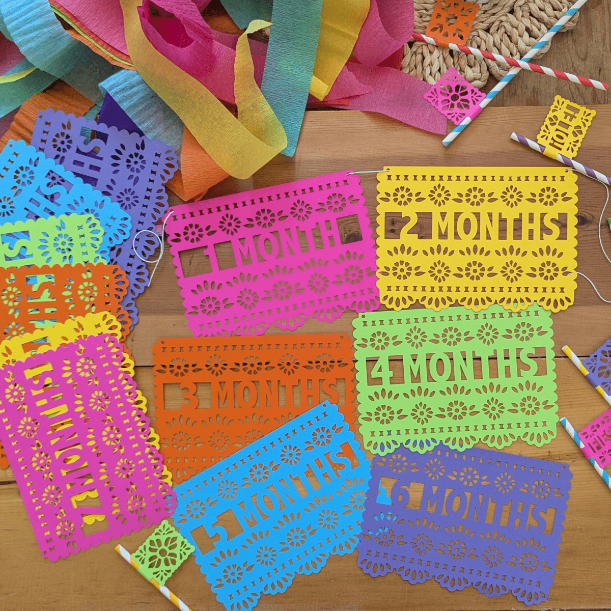 First Fiesta 12 Month Birthday Banner - Lula Flora