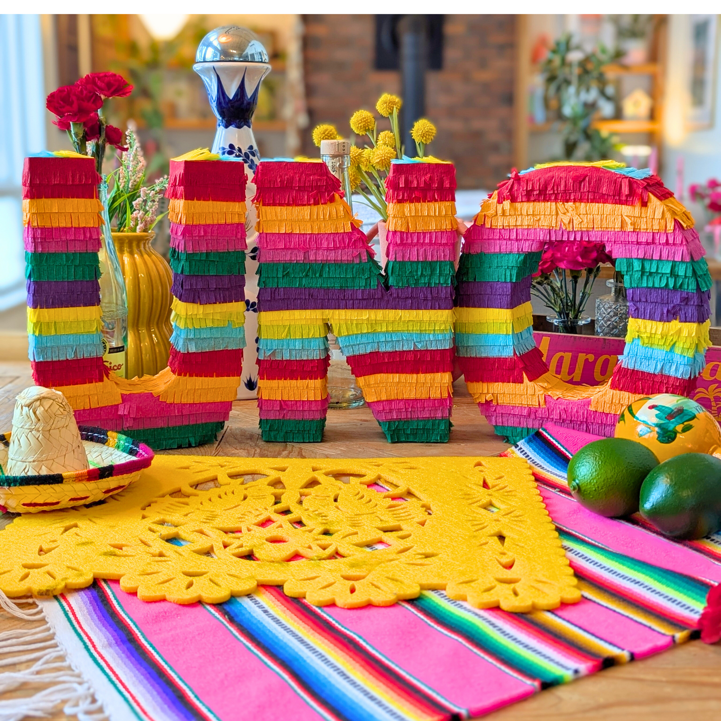 Piñata Style Fringe Letter and Number Decorations