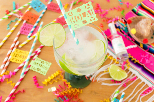 Fiesta Party Paper Straws | Set of 12