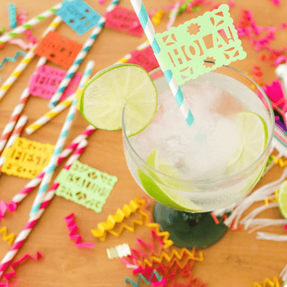 Fiesta Party Paper Straws - Lula Flora