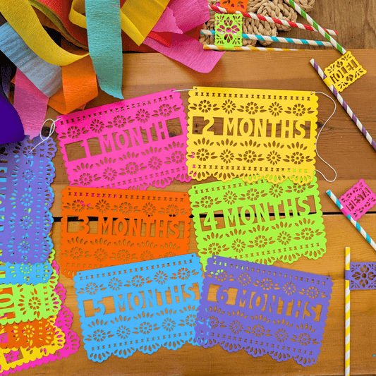 First Fiesta 12 Month Birthday Banner - Lula Flora