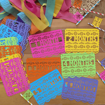 First Fiesta 12 Month Birthday Banner - Lula Flora